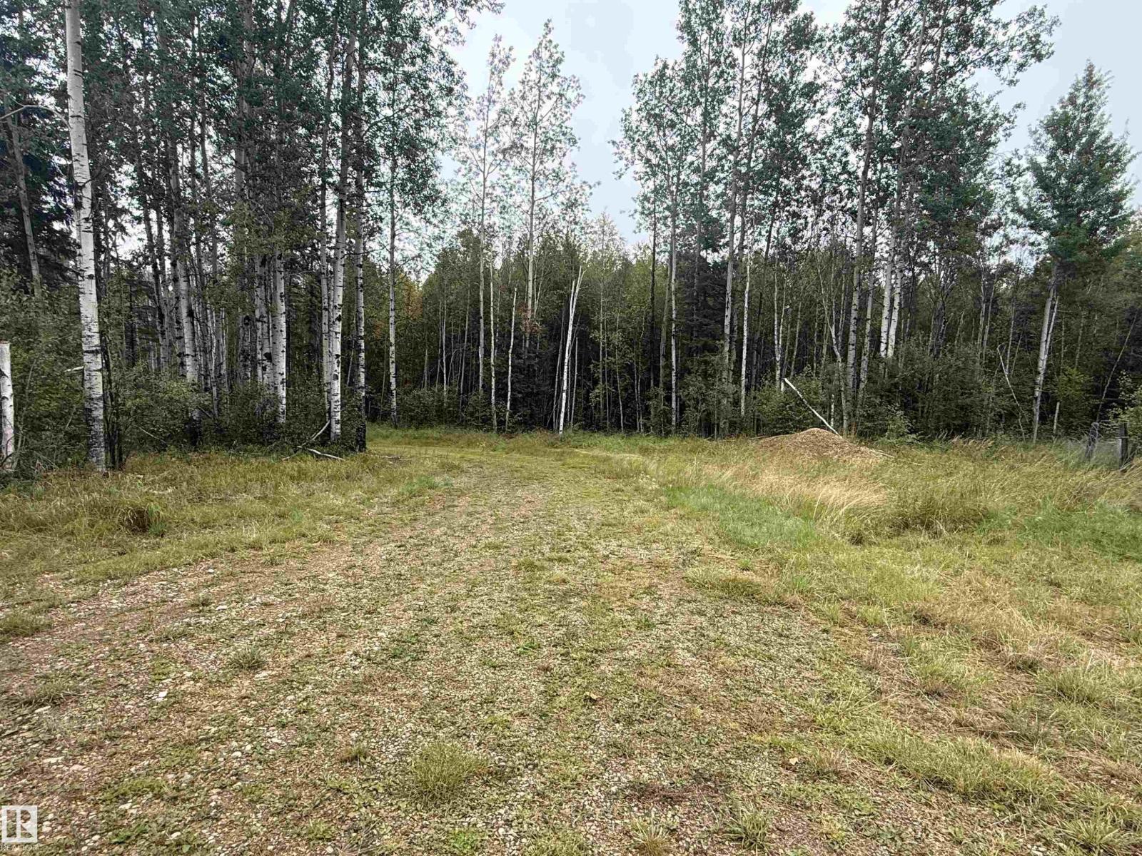 53115 Range Road 110, Rural Yellowhead, Alberta  T0E 2M0 - Photo 6 - E4507286