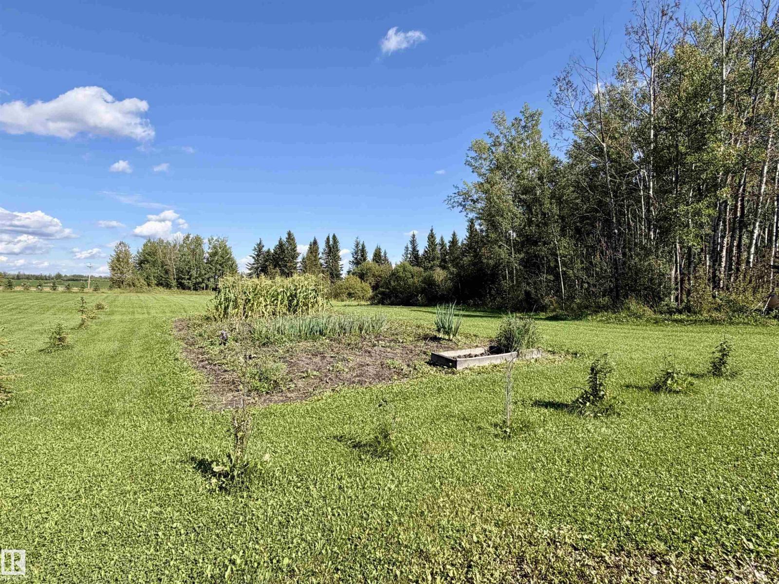 6002 Twp Rd 494, Rural Brazeau County, Alberta T0C 1W0 - Photo 67 - E4507621