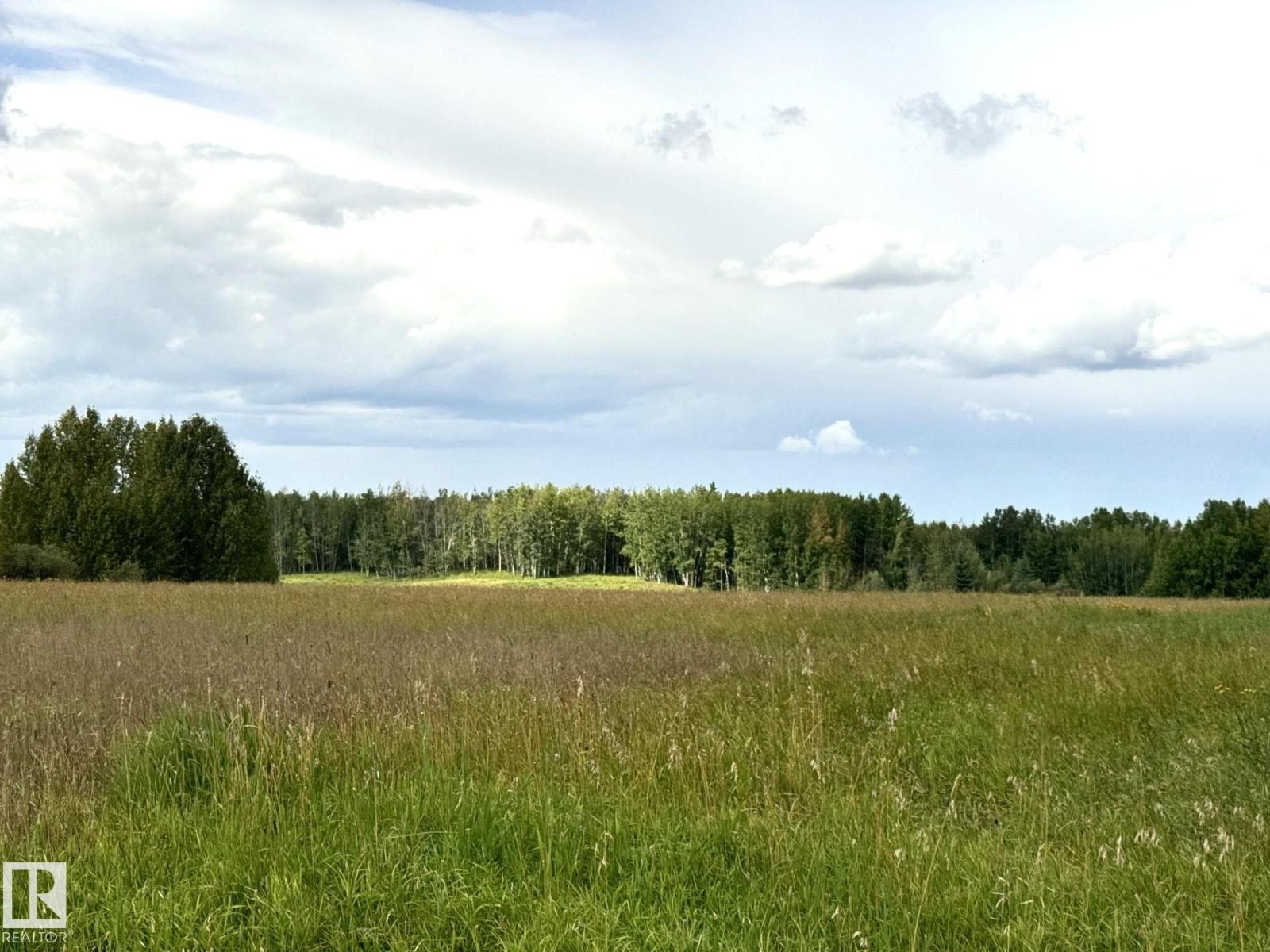 Lake Ave Rrd 62, Rural Parkland County, Alberta T0E 0W0 - Photo 2 - E4507629