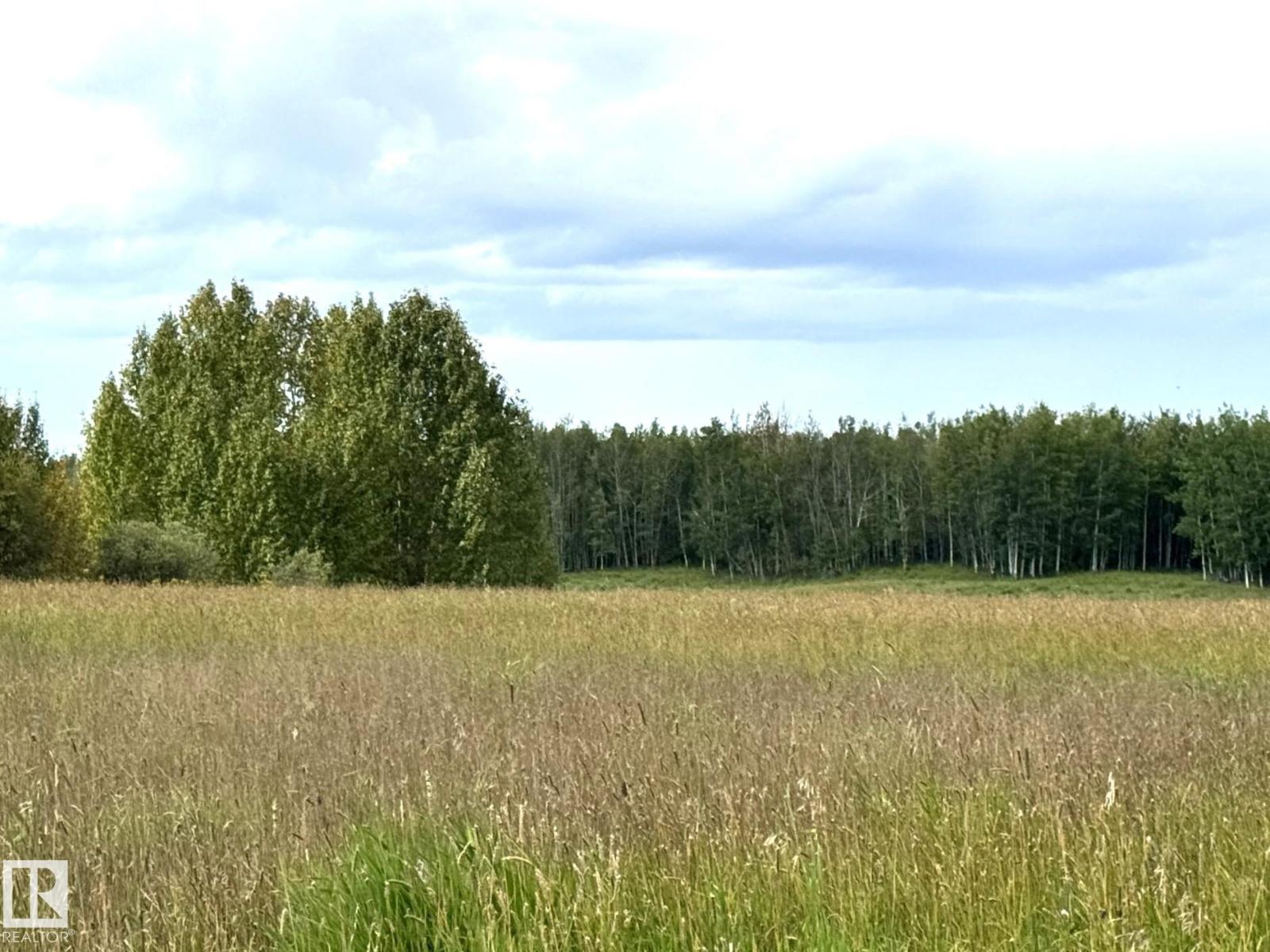 Lake Ave Rrd 62, Rural Parkland County, Alberta T0E 0W0 - Photo 3 - E4507629