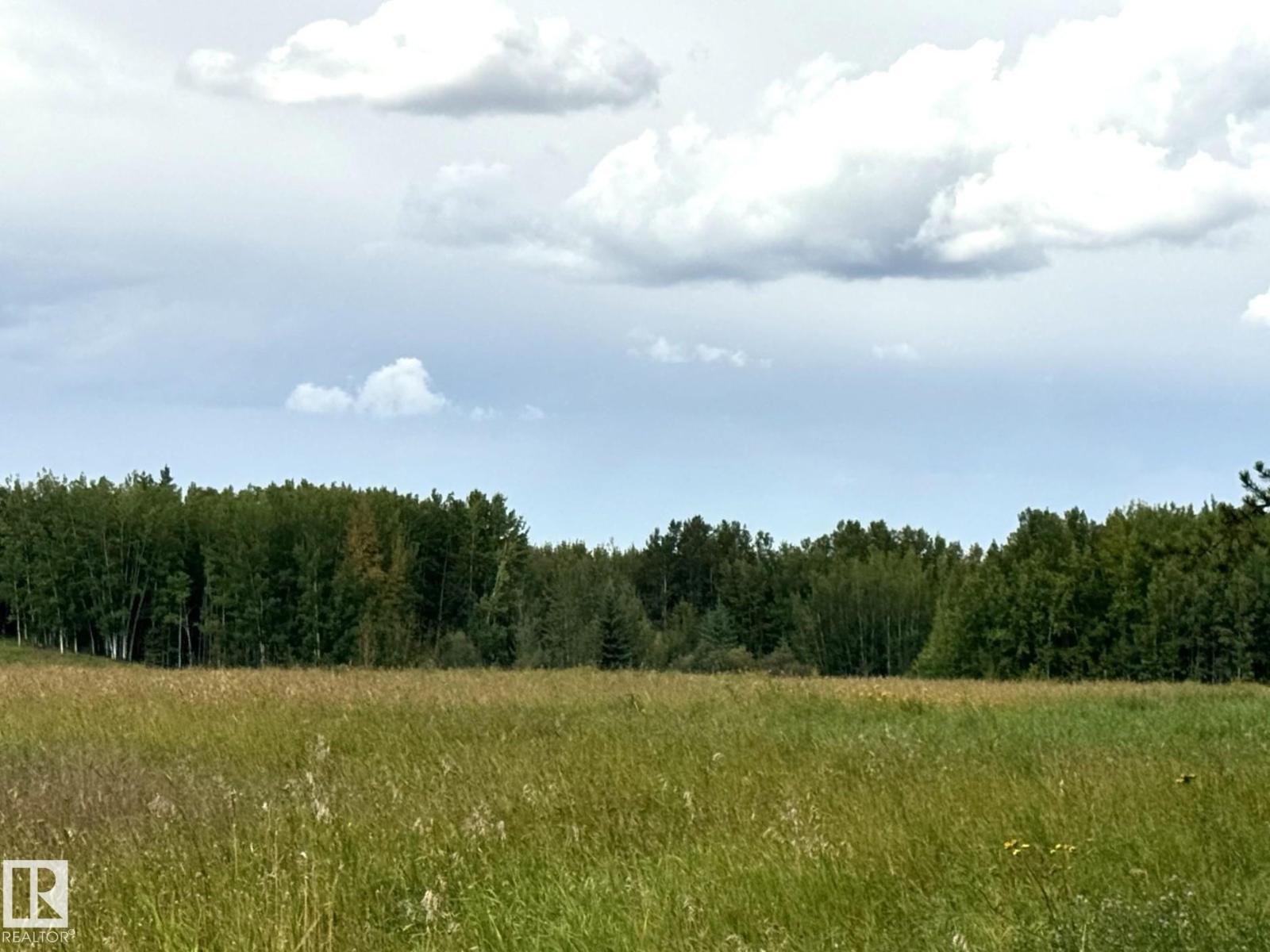 Lake Ave Rrd 62, Rural Parkland County, Alberta T0E 0W0 - Photo 6 - E4507629