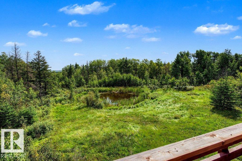 56225 Rge Road 13, Rural Lac Ste. Anne County, Alberta T0E 1V0 - Photo 74 - E4507824
