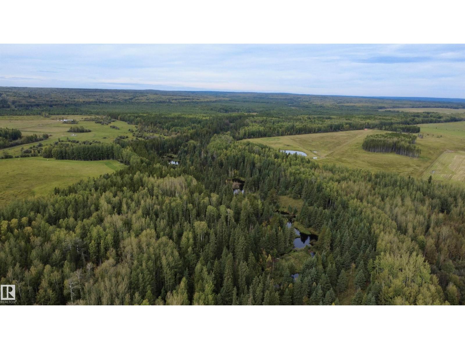 49222 Range Road 92, Rural Brazeau County, Alberta T0E 0K0 - Photo 69 - E4508593