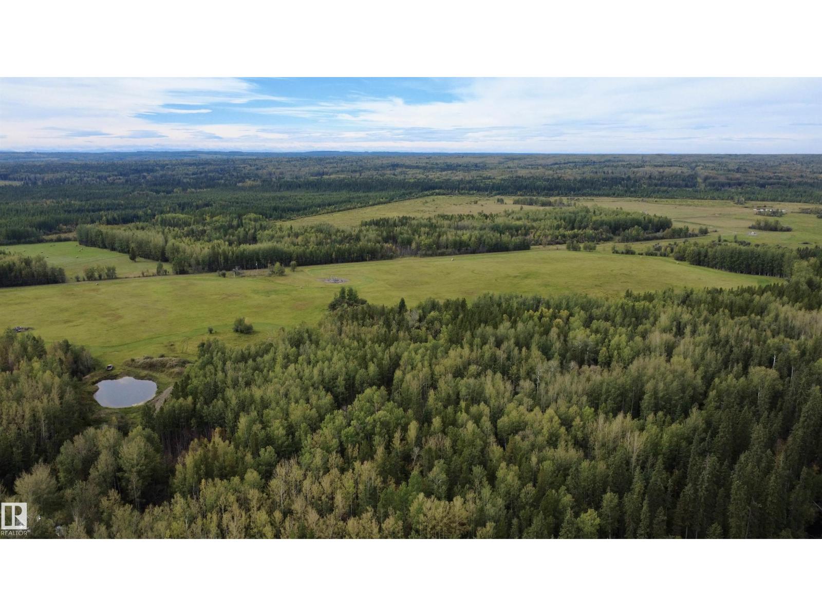 49222 Range Road 92, Rural Brazeau County, Alberta T0E 0K0 - Photo 70 - E4508593