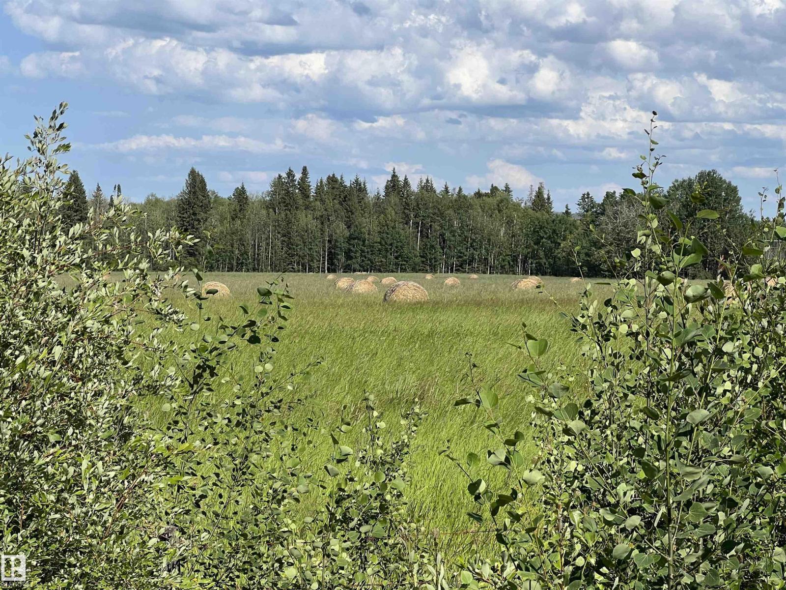 Se-12-49-8- W5m, Rural Brazeau County, Alberta T0E 1Z0 - Photo 11 - E4508668