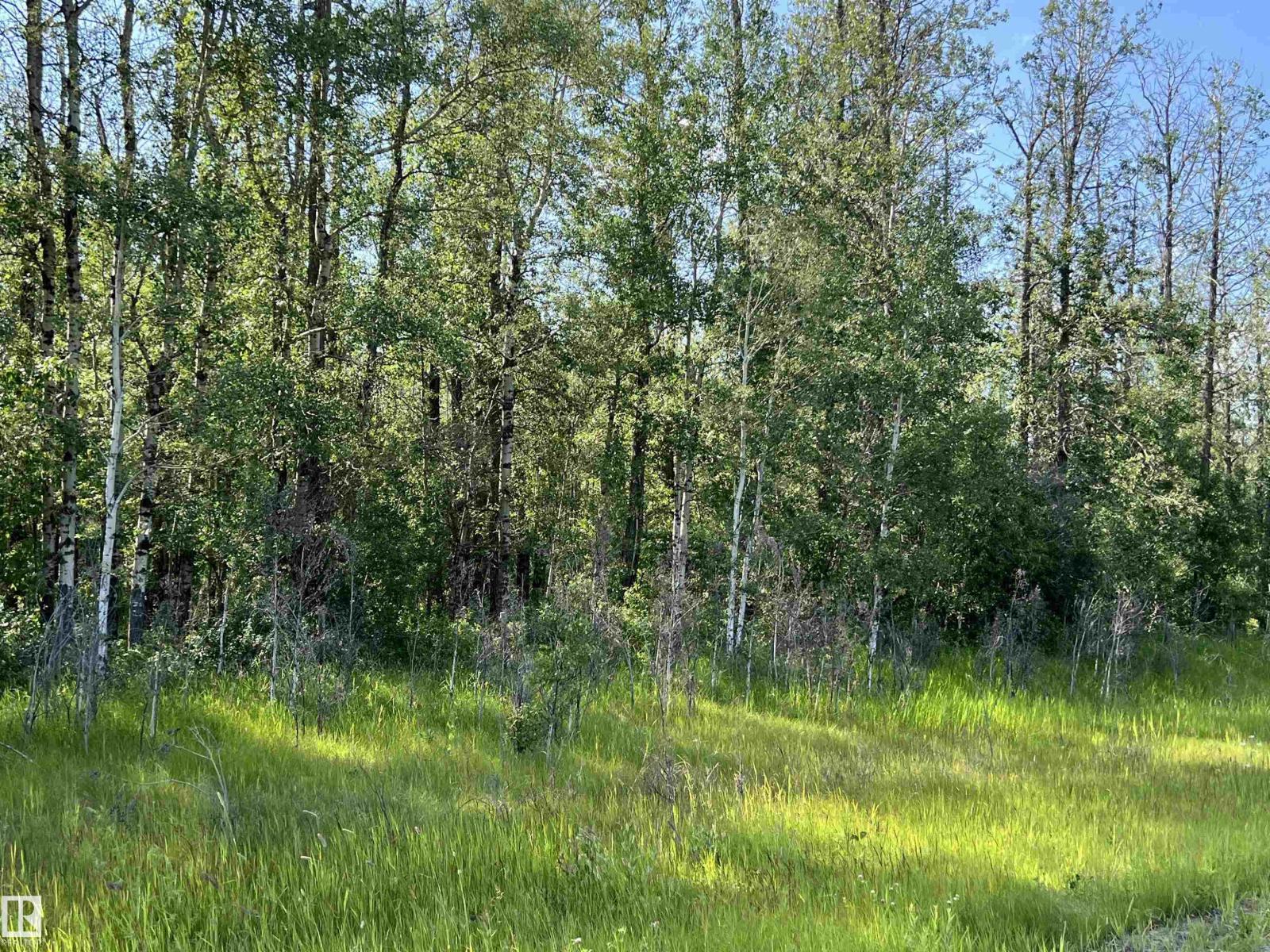 Se-12-49-8- W5m, Rural Brazeau County, Alberta T0E 1Z0 - Photo 12 - E4508668