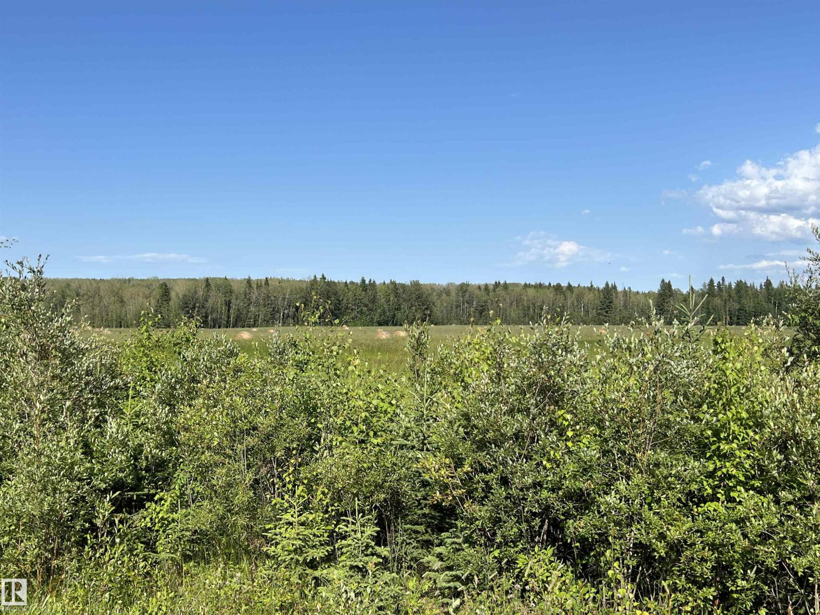 Se-12-49-8- W5m, Rural Brazeau County, Alberta T0E 1Z0 - Photo 13 - E4508668