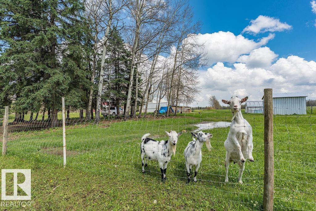 470047 Rge Road 35, Rural Wetaskiwin County, Alberta T0C 2X0 - Photo 2 - E4508682
