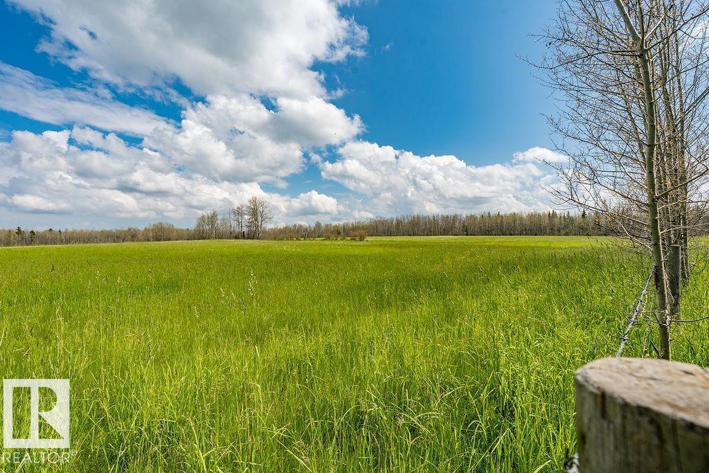 470047 Rge Road 35, Rural Wetaskiwin County, Alberta T0C 2X0 - Photo 60 - E4508682
