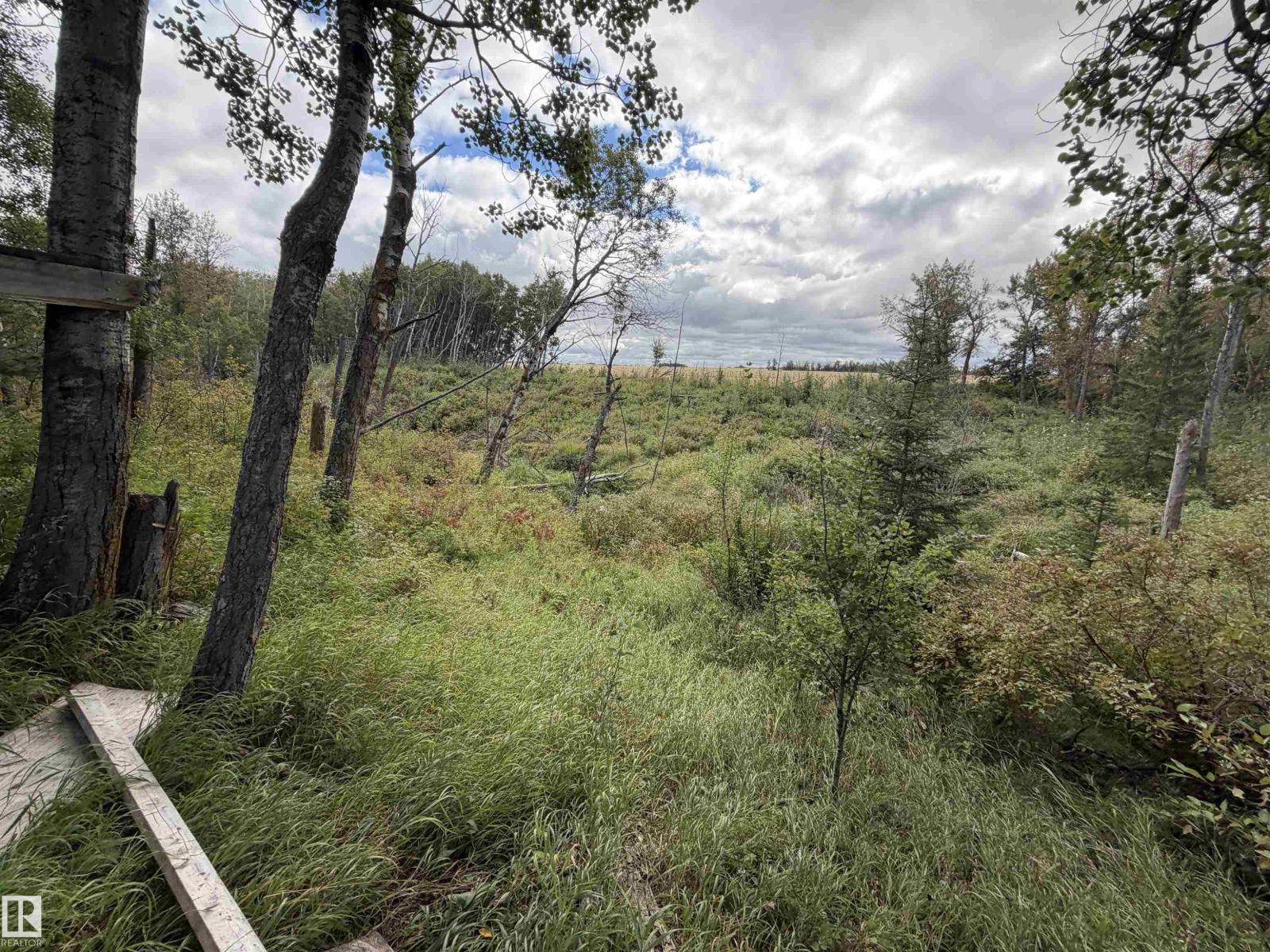 50279 Rge Rd 274, Rural Leduc County, Alberta T0C 0V0 - Photo 42 - E4509090