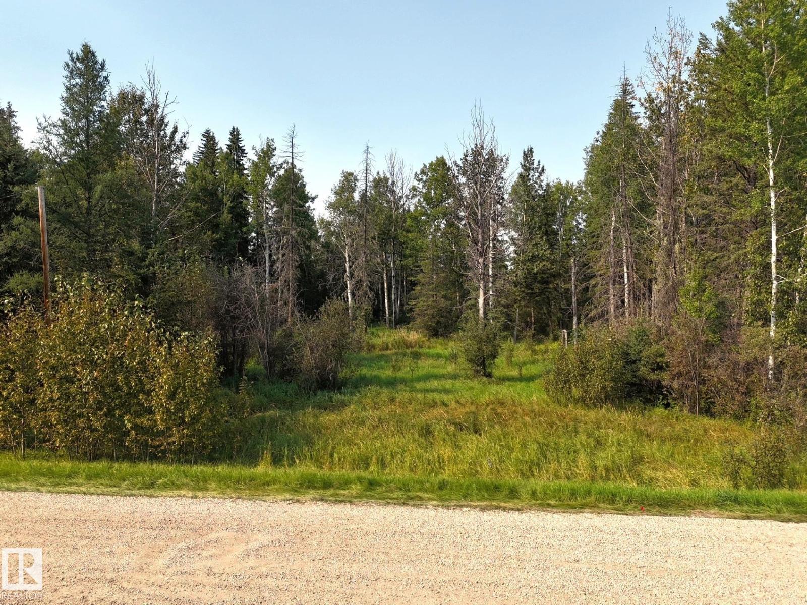 36 9002 Hwy 16, Rural Yellowhead, Alberta T0E 2M0 - Photo 1 - E4509514