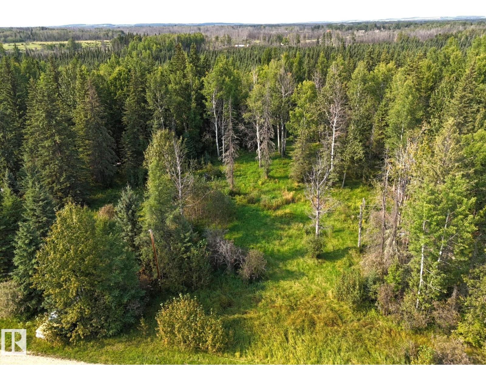 36 9002 Hwy 16, Rural Yellowhead, Alberta T0E 2M0 - Photo 10 - E4509514