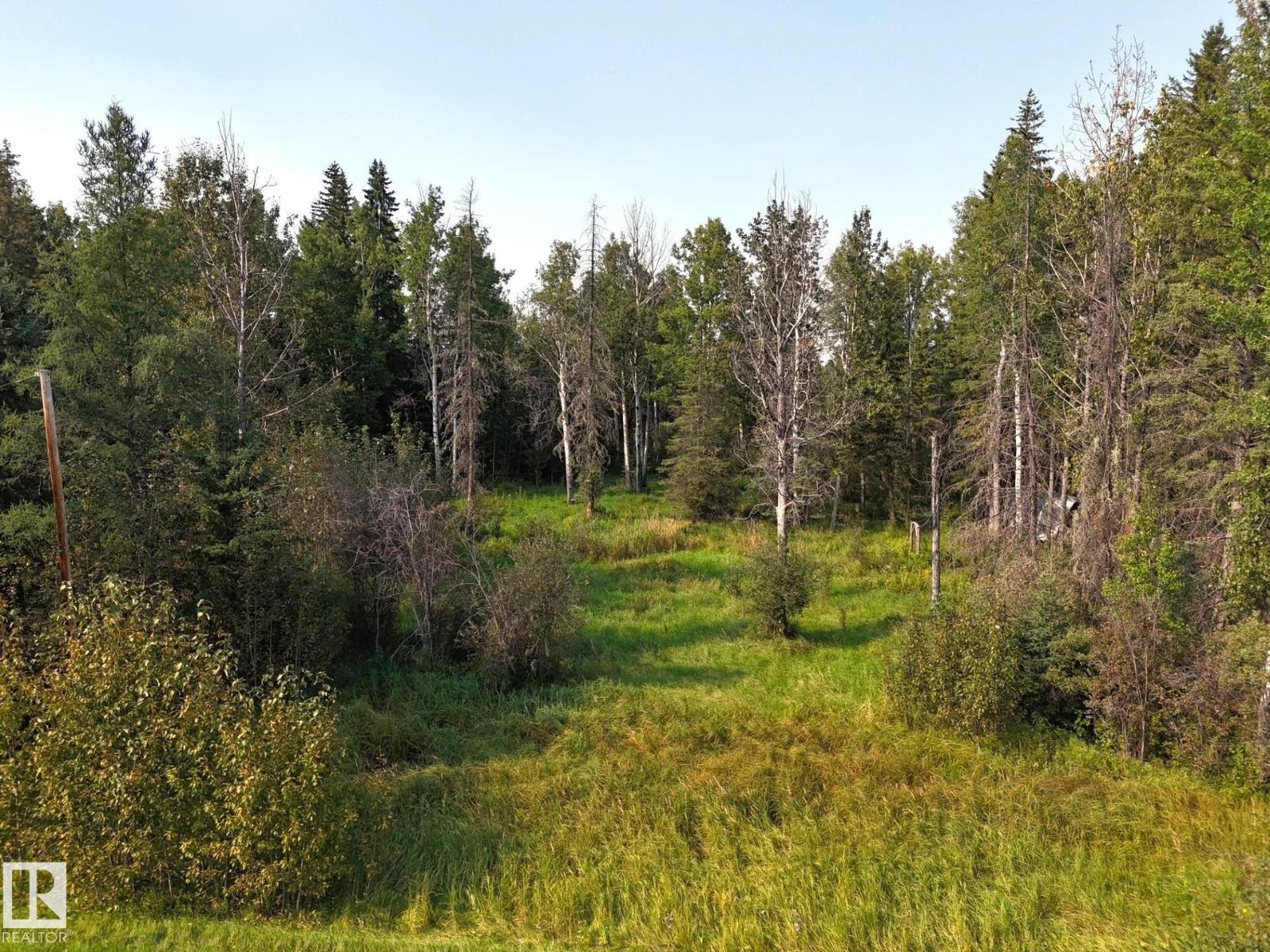 36 9002 Hwy 16, Rural Yellowhead, Alberta T0E 2M0 - Photo 11 - E4509514