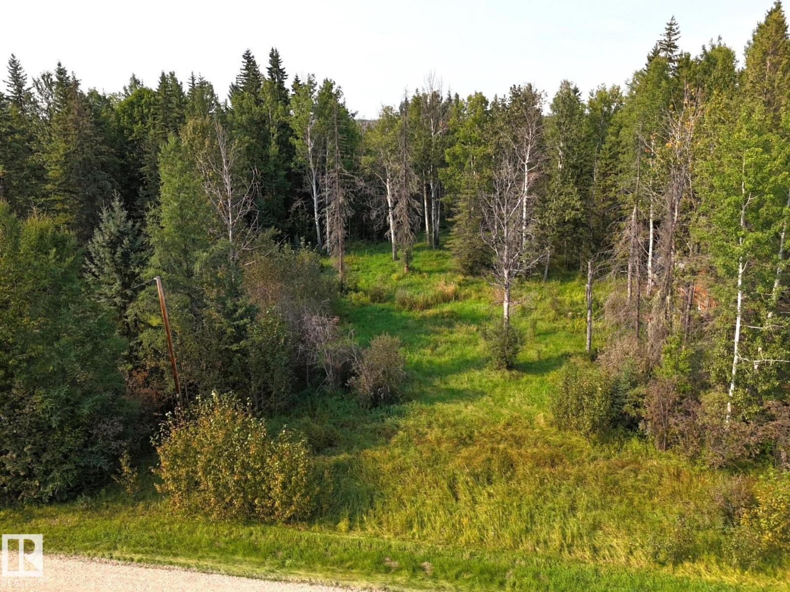 36 9002 Hwy 16, Rural Yellowhead, Alberta T0E 2M0 - Photo 12 - E4509514