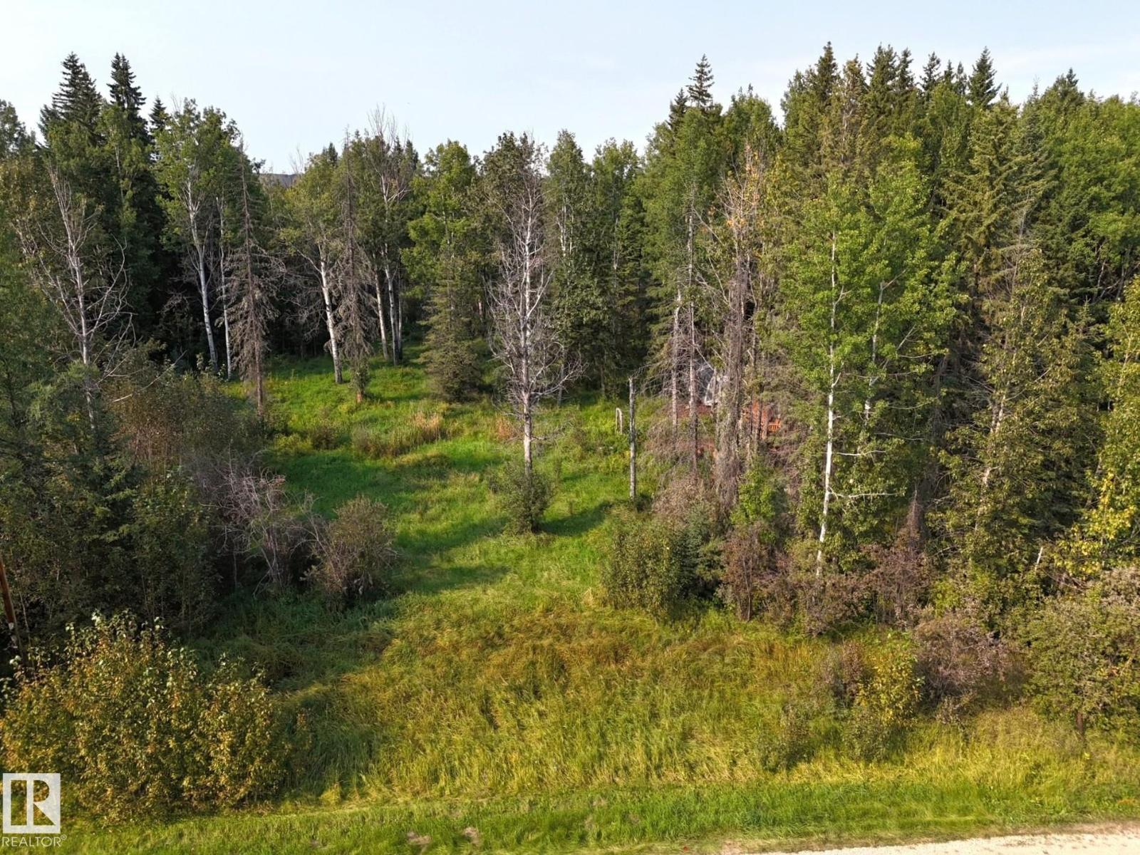 36 9002 Hwy 16, Rural Yellowhead, Alberta T0E 2M0 - Photo 13 - E4509514