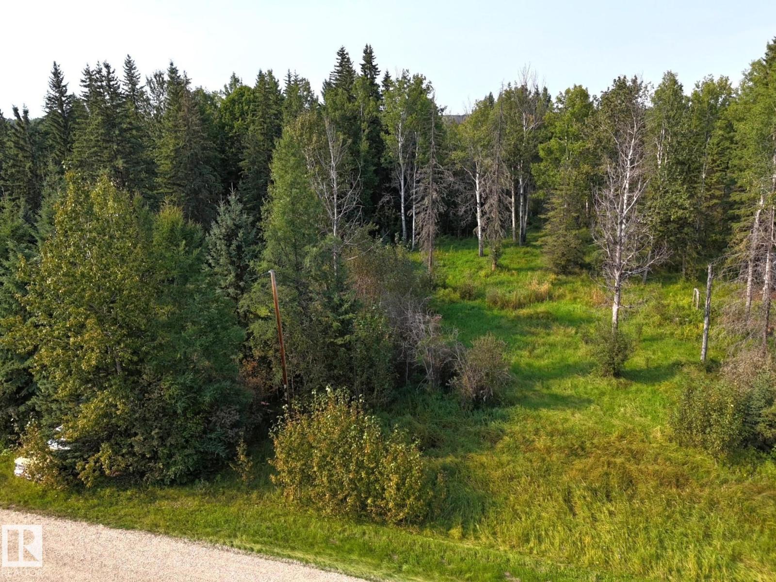36 9002 Hwy 16, Rural Yellowhead, Alberta T0E 2M0 - Photo 14 - E4509514
