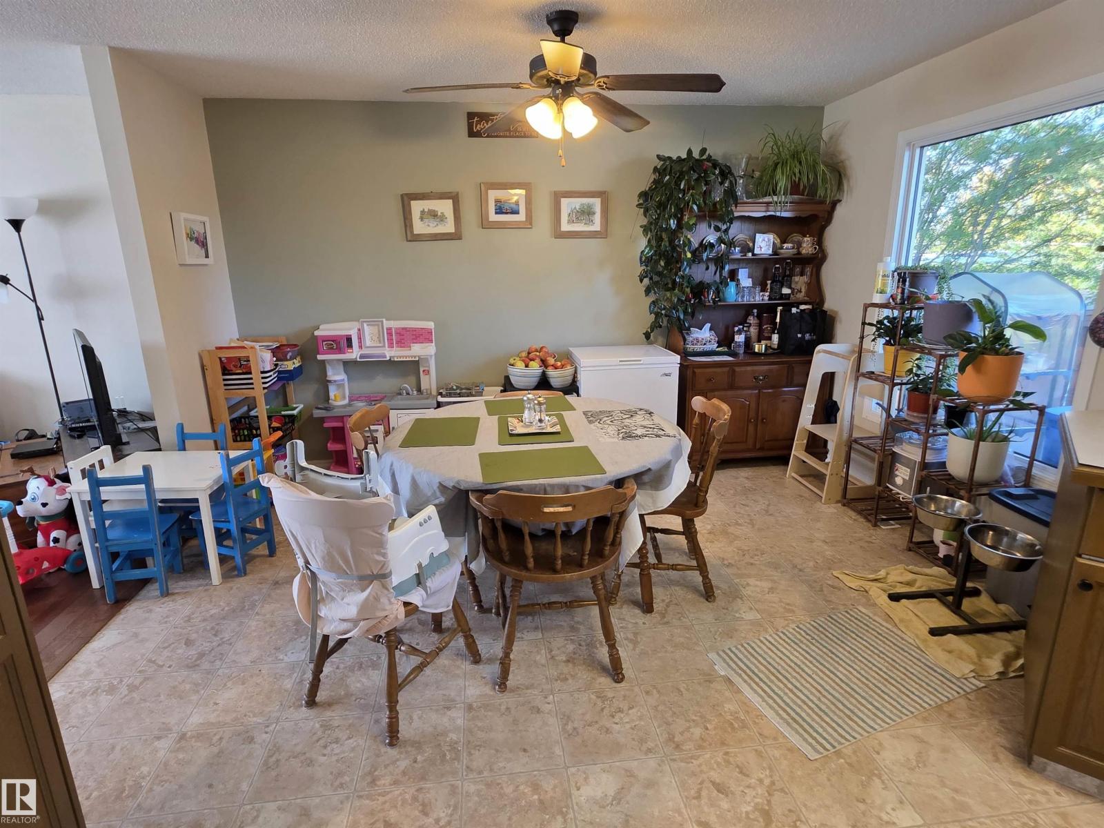 4804 55 Av, Drayton Valley, Alberta T7A 1B5 - Photo 11 - E4509904