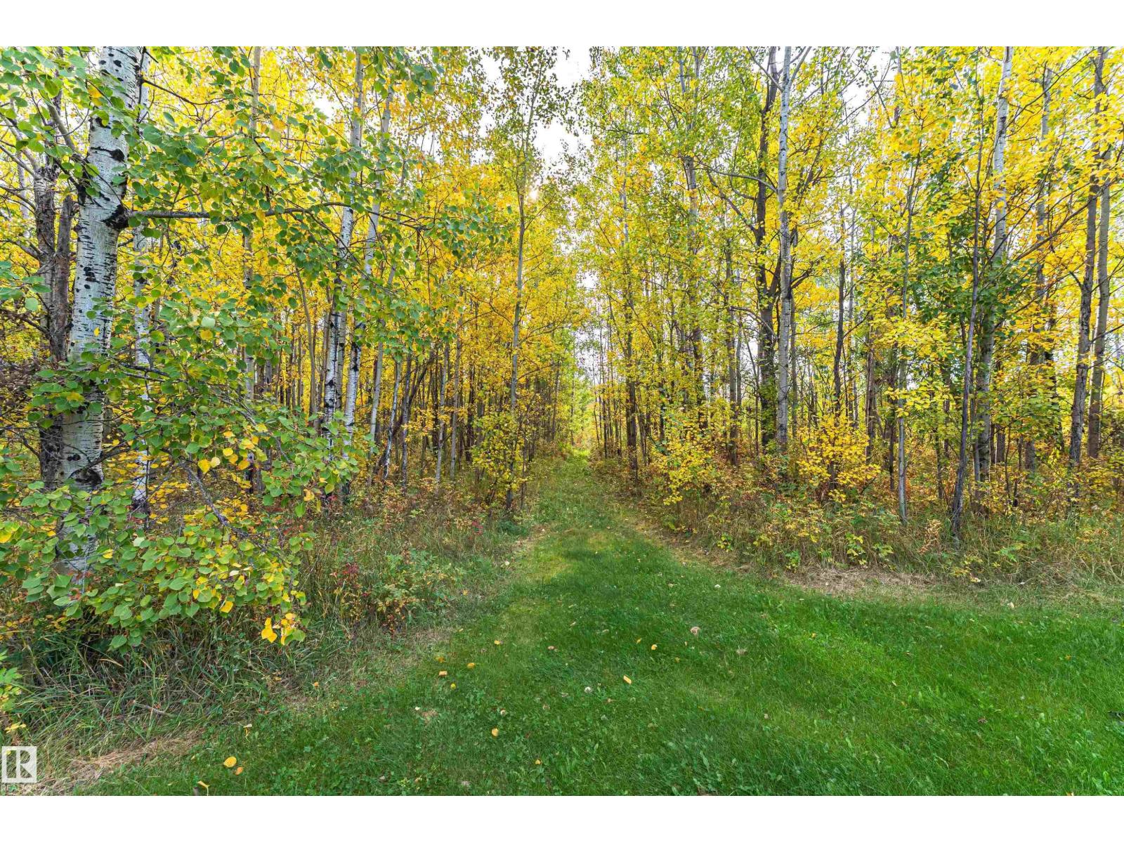 55415 Rge Road 13, Rural Lac Ste. Anne County, Alberta T0E 1V0 - Photo 56 - E4510099