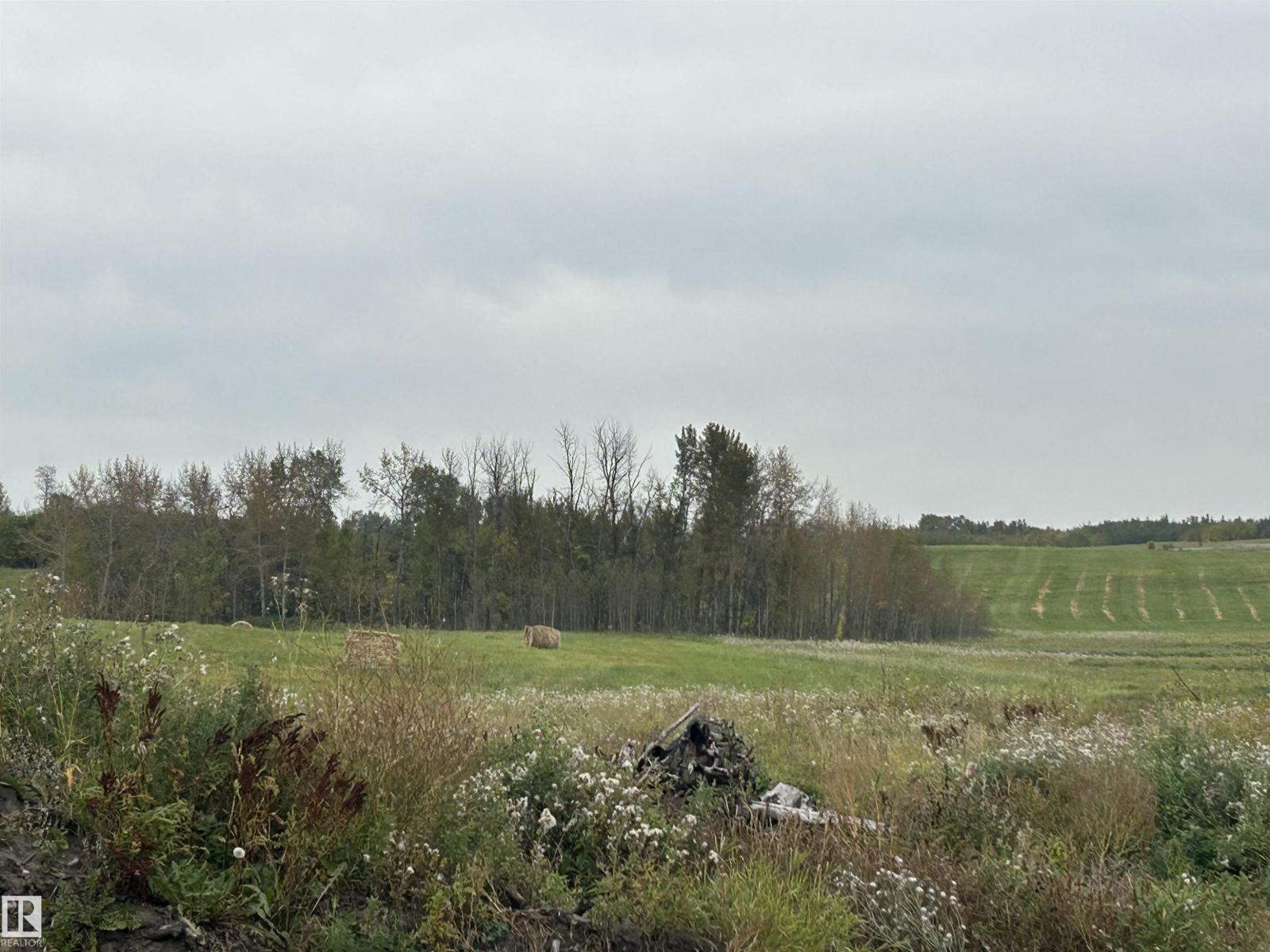 Rr 20 Twp 544, Rural Lac Ste. Anne County, Alberta T0E 1G0 - Photo 6 - E4510662