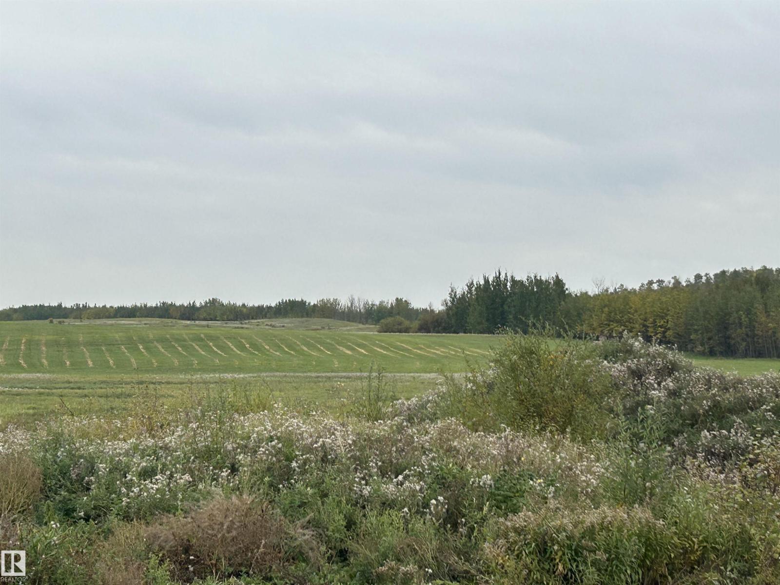 Rr 20 Twp 544, Rural Lac Ste. Anne County, Alberta T0E 1G0 - Photo 7 - E4510662