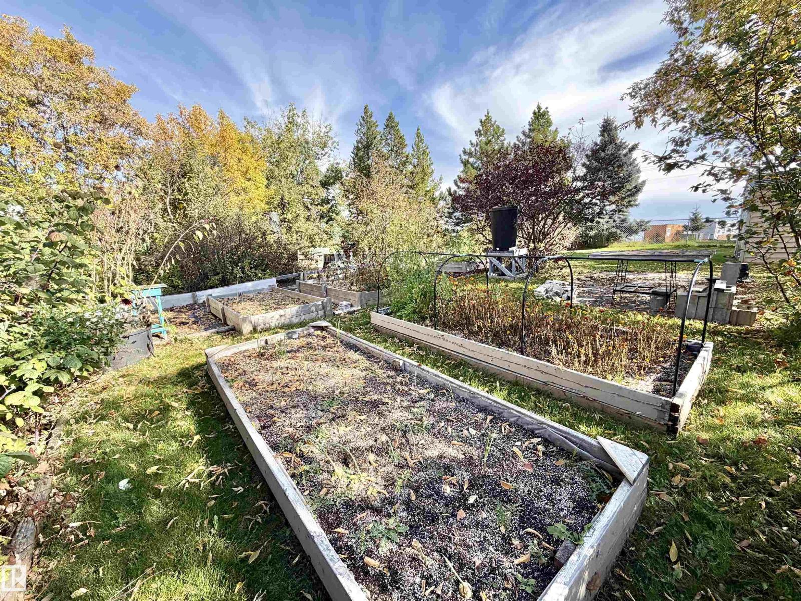 5304 50 St, Tomahawk, Alberta T0E 2H0 - Photo 10 - E4510771