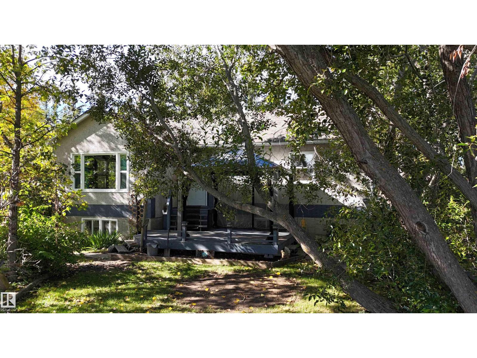 5304 50 St, Tomahawk, Alberta T0E 2H0 - Photo 3 - E4510771