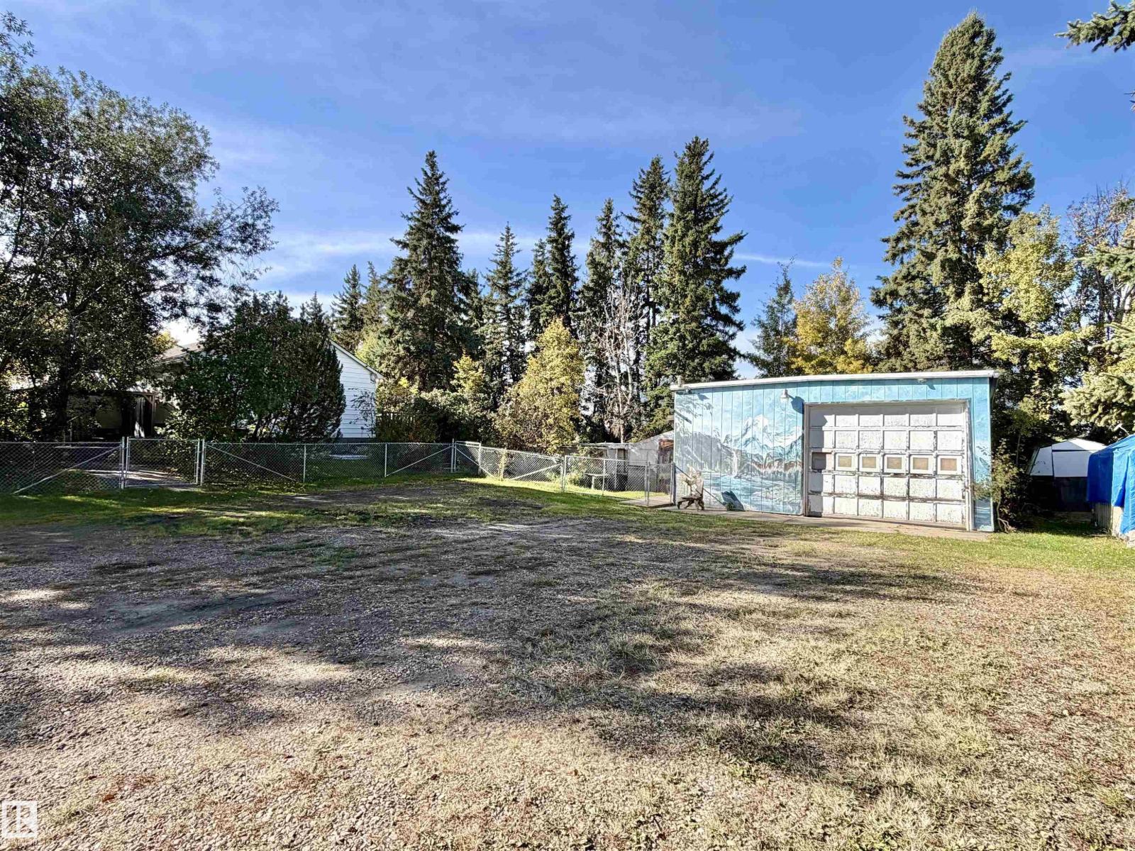 5304 50 St, Tomahawk, Alberta T0E 2H0 - Photo 6 - E4510771