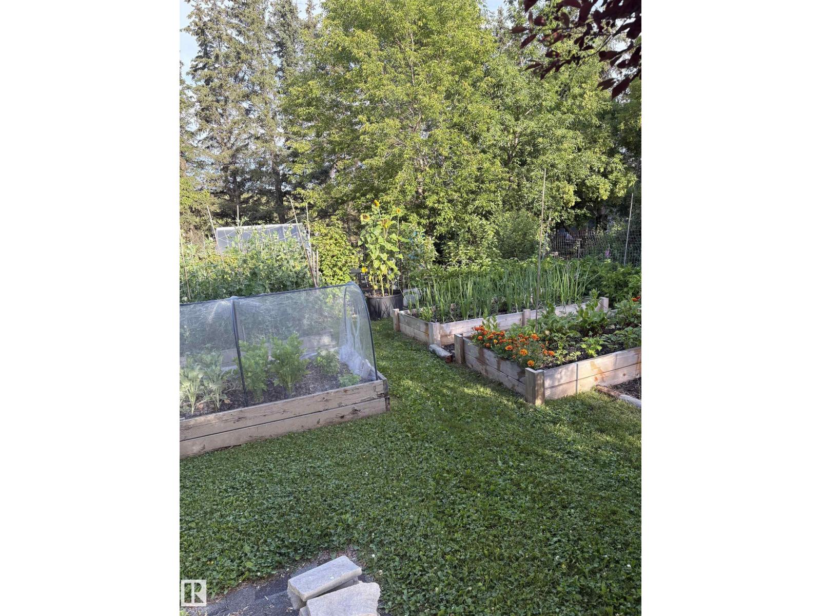 5304 50 St, Tomahawk, Alberta T0E 2H0 - Photo 69 - E4510771