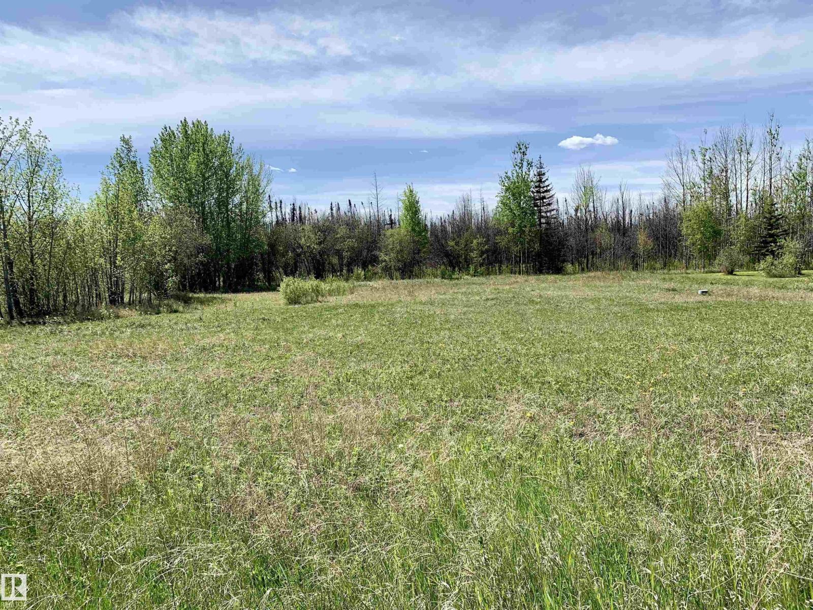 9002 Hwy 16, Rural Yellowhead, Alberta T0E 2M0 - Photo 1 - E4510776