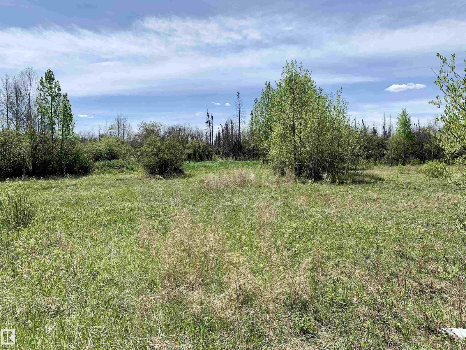 9002 Hwy 16, Rural Yellowhead, Alberta T0E 2M0 - Photo 2 - E4510776