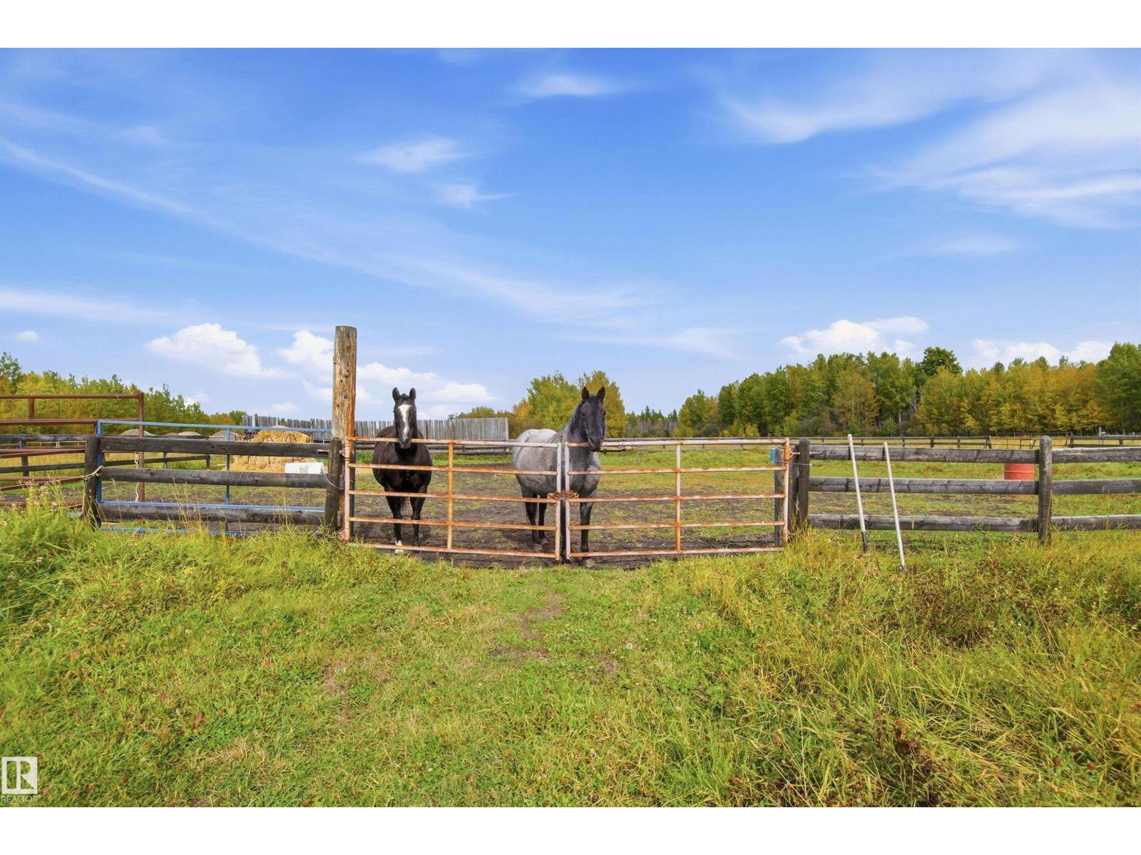 7526 Twp Rd 523, Rural Yellowhead, Alberta  T0E 0S0 - Photo 15 - E4510801