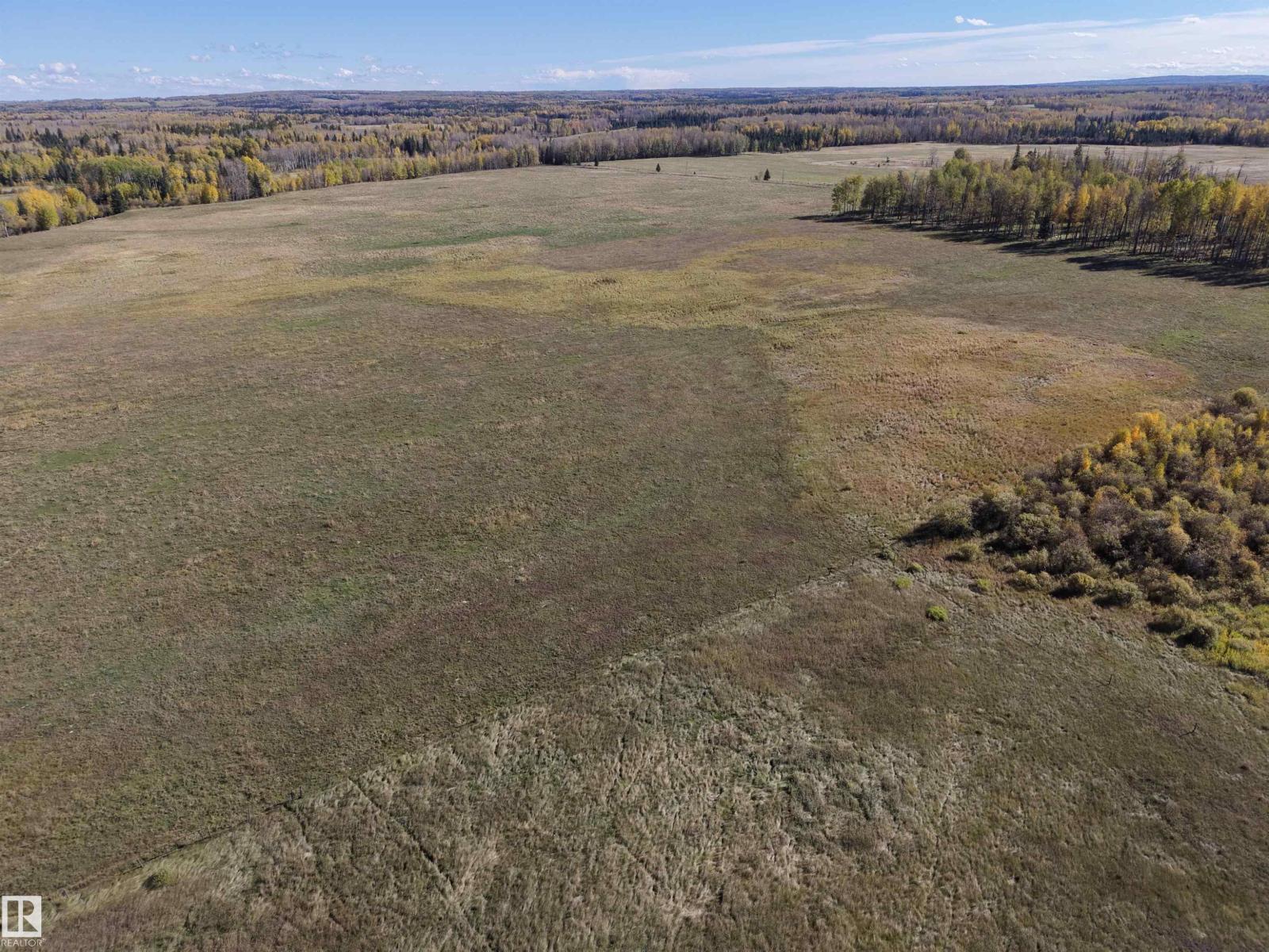 On Rr90 & Twp Rd 503, Rural Brazeau County, Alberta  T7A 2A3 - Photo 11 - E4511063