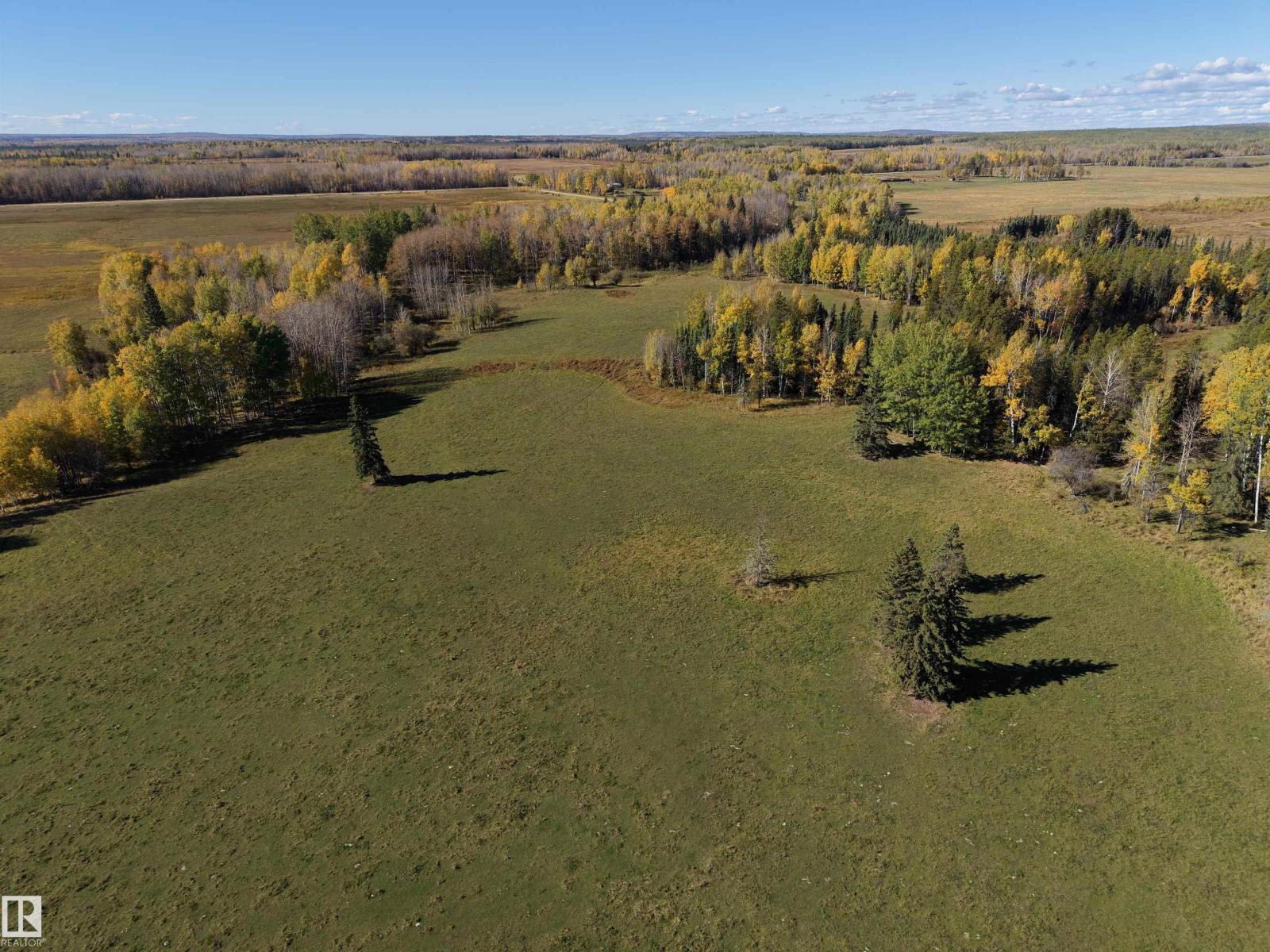 On Rr90 & Twp Rd 503, Rural Brazeau County, Alberta  T7A 2A3 - Photo 12 - E4511063