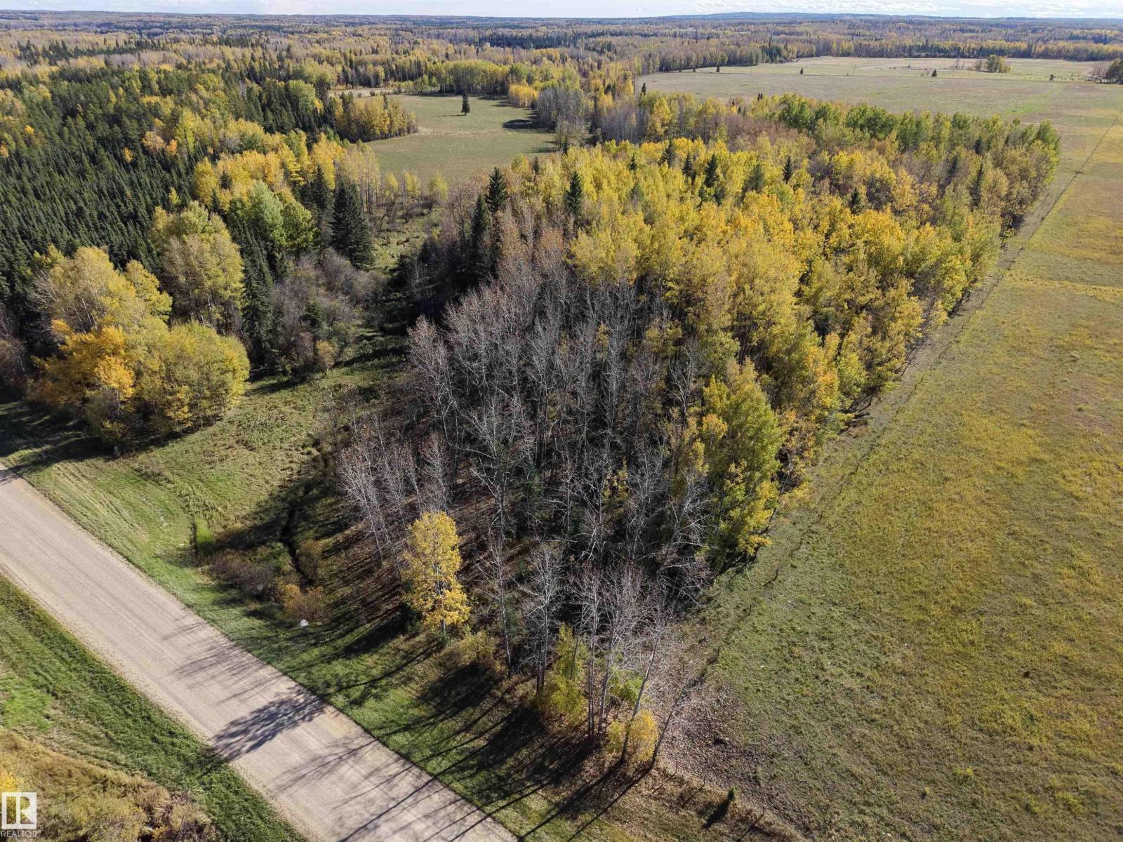 On Rr90 & Twp Rd 503, Rural Brazeau County, Alberta  T7A 2A3 - Photo 15 - E4511063