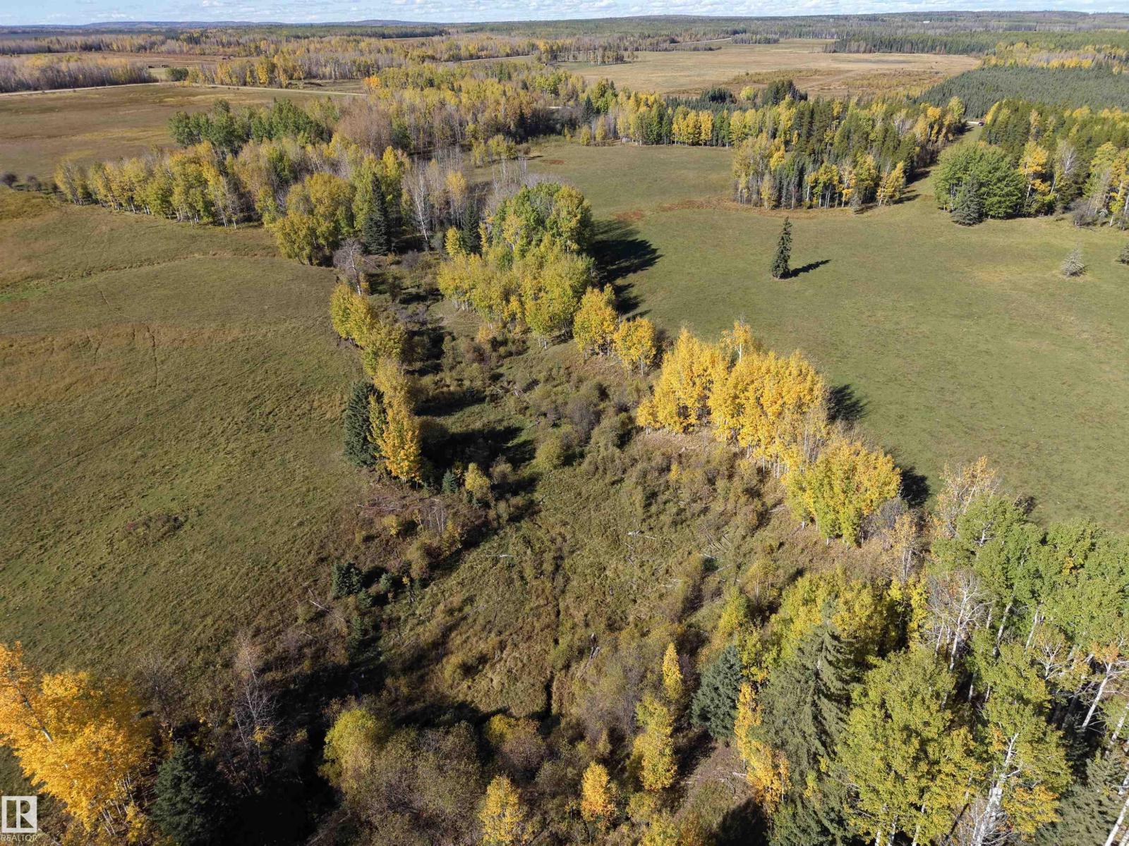 On Rr90 & Twp Rd 503, Rural Brazeau County, Alberta  T7A 2A3 - Photo 3 - E4511063