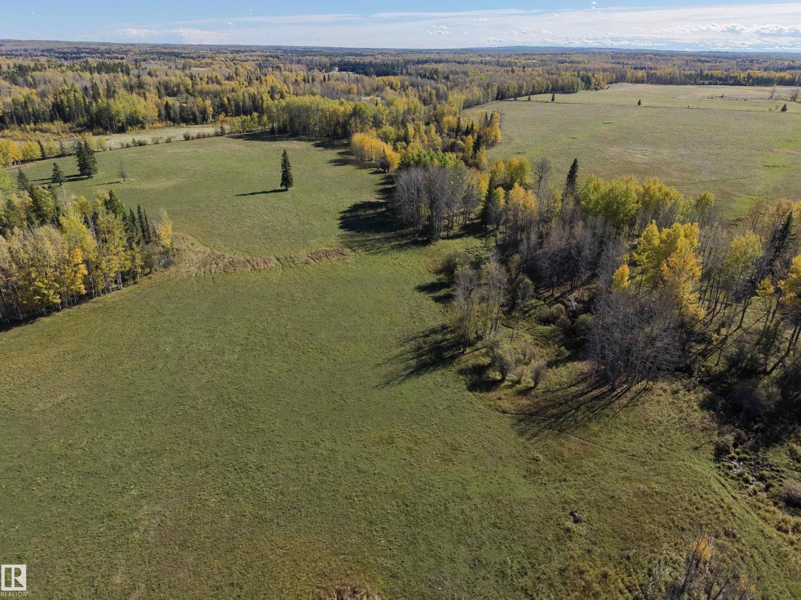 On Rr90 & Twp Rd 503, Rural Brazeau County, Alberta  T7A 2A3 - Photo 4 - E4511063