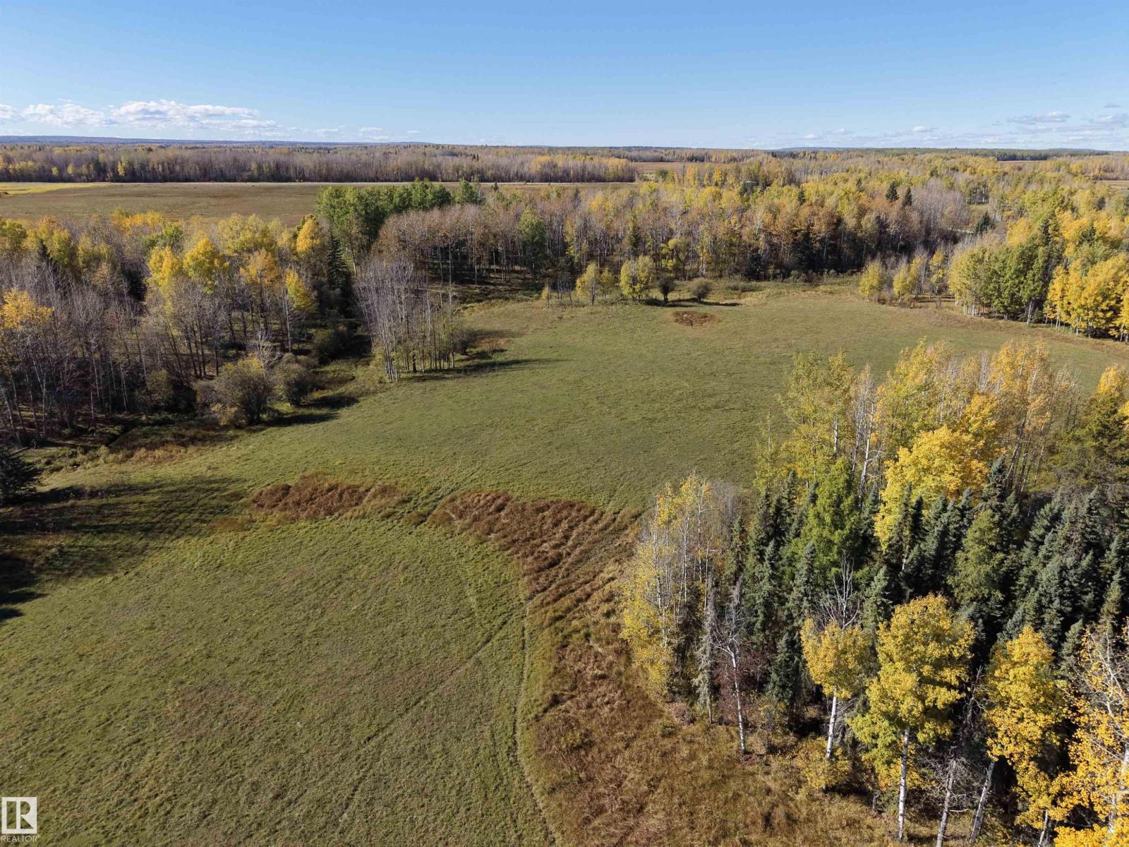 On Rr90 & Twp Rd 503, Rural Brazeau County, Alberta  T7A 2A3 - Photo 5 - E4511063