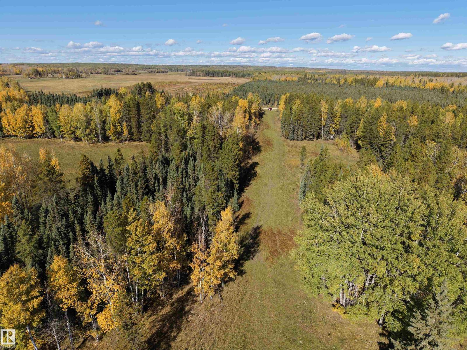 On Rr90 & Twp Rd 503, Rural Brazeau County, Alberta  T7A 2A3 - Photo 8 - E4511063