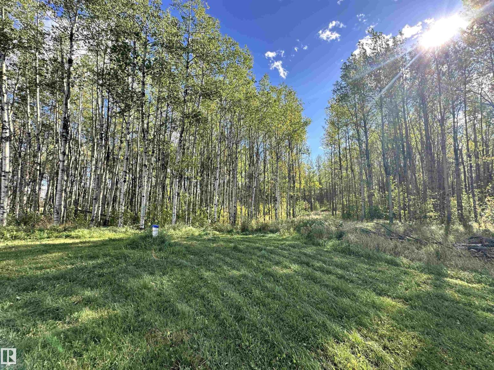 7323 Twp Road 512, Rural Parkland County, Alberta T7A 1A2 - Photo 59 - E4511420