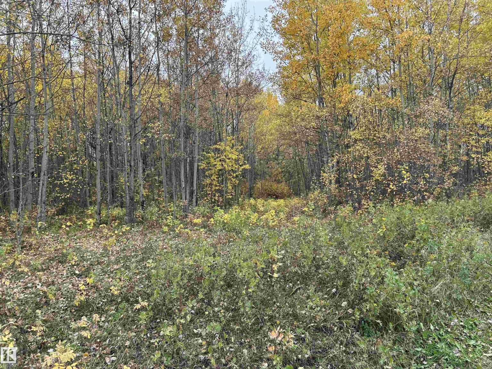 Rr 23 Twp 564, Rural Lac Ste. Anne County, Alberta T0E 1V0 - Photo 2 - E4511870