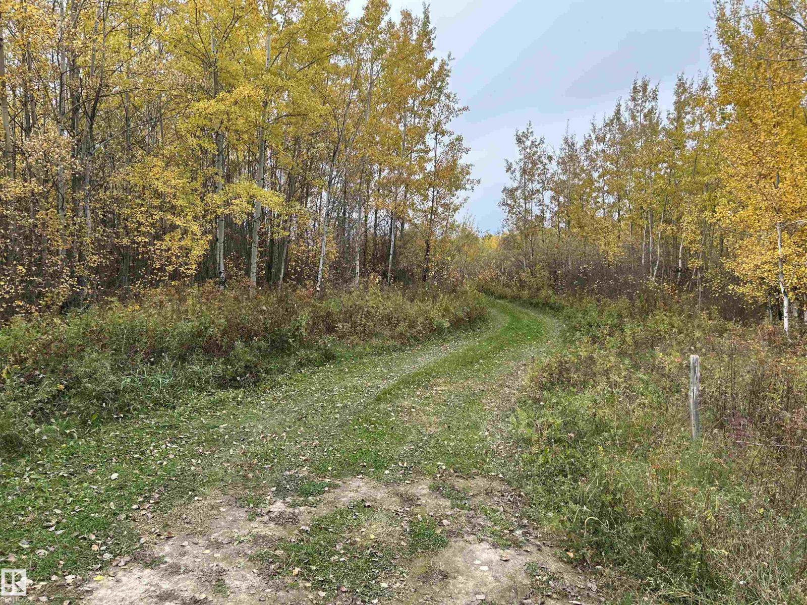 Rr 23 Twp 564, Rural Lac Ste. Anne County, Alberta T0E 1V0 - Photo 3 - E4511870