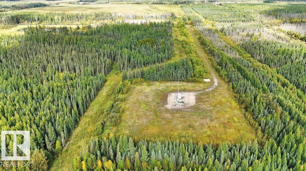 49419 - B Rge Road 85, Rural Brazeau County, Alberta  T7A 0C1 - Photo 12 - E4512171