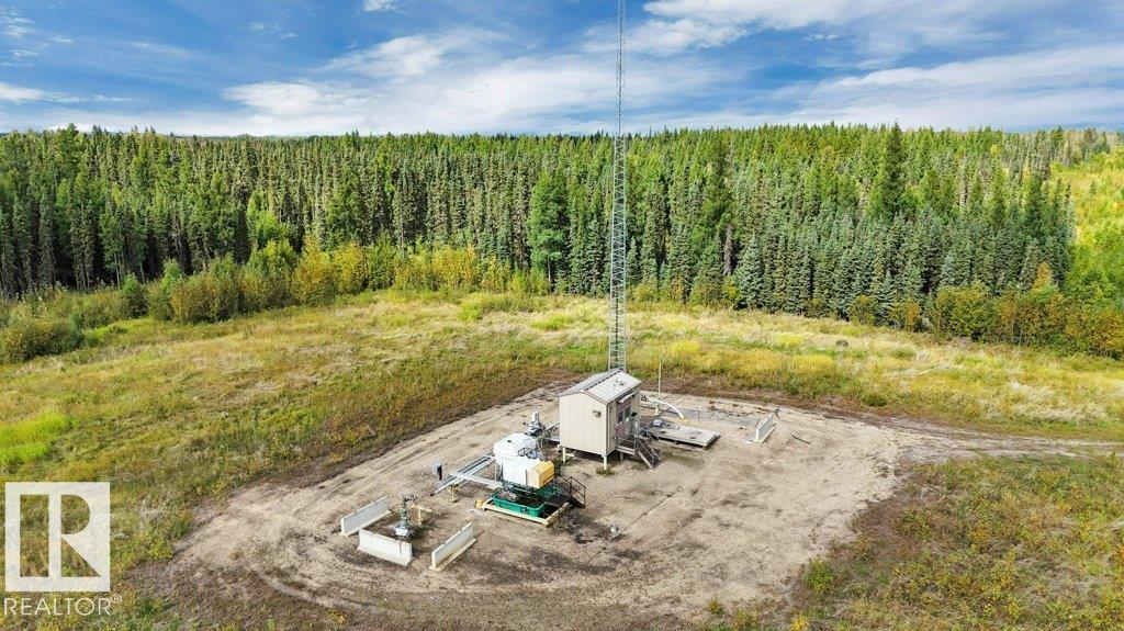 49419 - B Rge Road 85, Rural Brazeau County, Alberta  T7A 0C1 - Photo 13 - E4512171