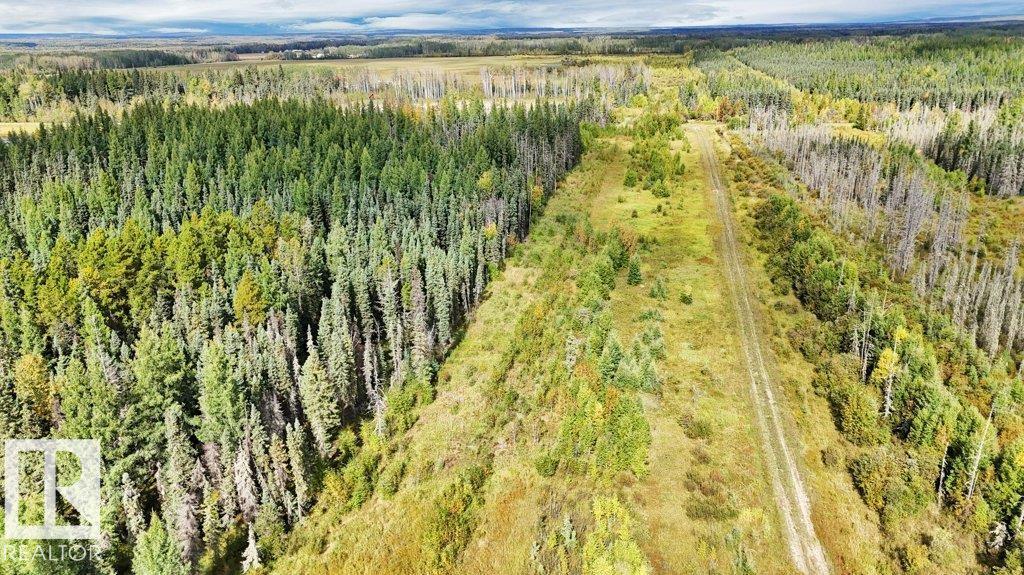 49419 - B Rge Road 85, Rural Brazeau County, Alberta  T7A 0C1 - Photo 16 - E4512171