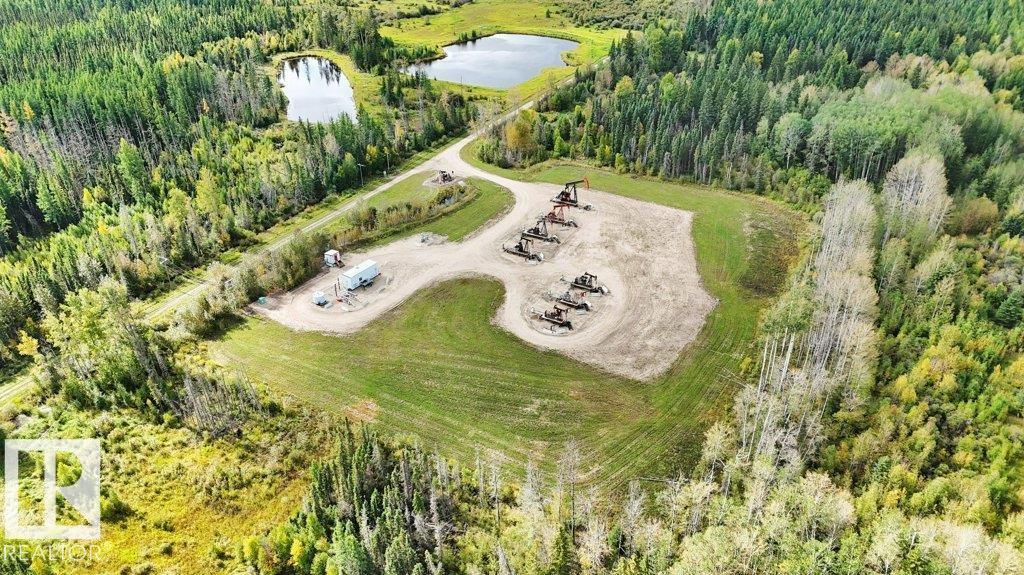 49419 - B Rge Road 85, Rural Brazeau County, Alberta  T7A 0C1 - Photo 17 - E4512171