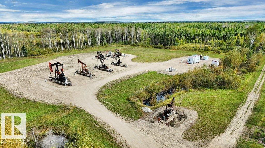 49419 - B Rge Road 85, Rural Brazeau County, Alberta  T7A 0C1 - Photo 19 - E4512171
