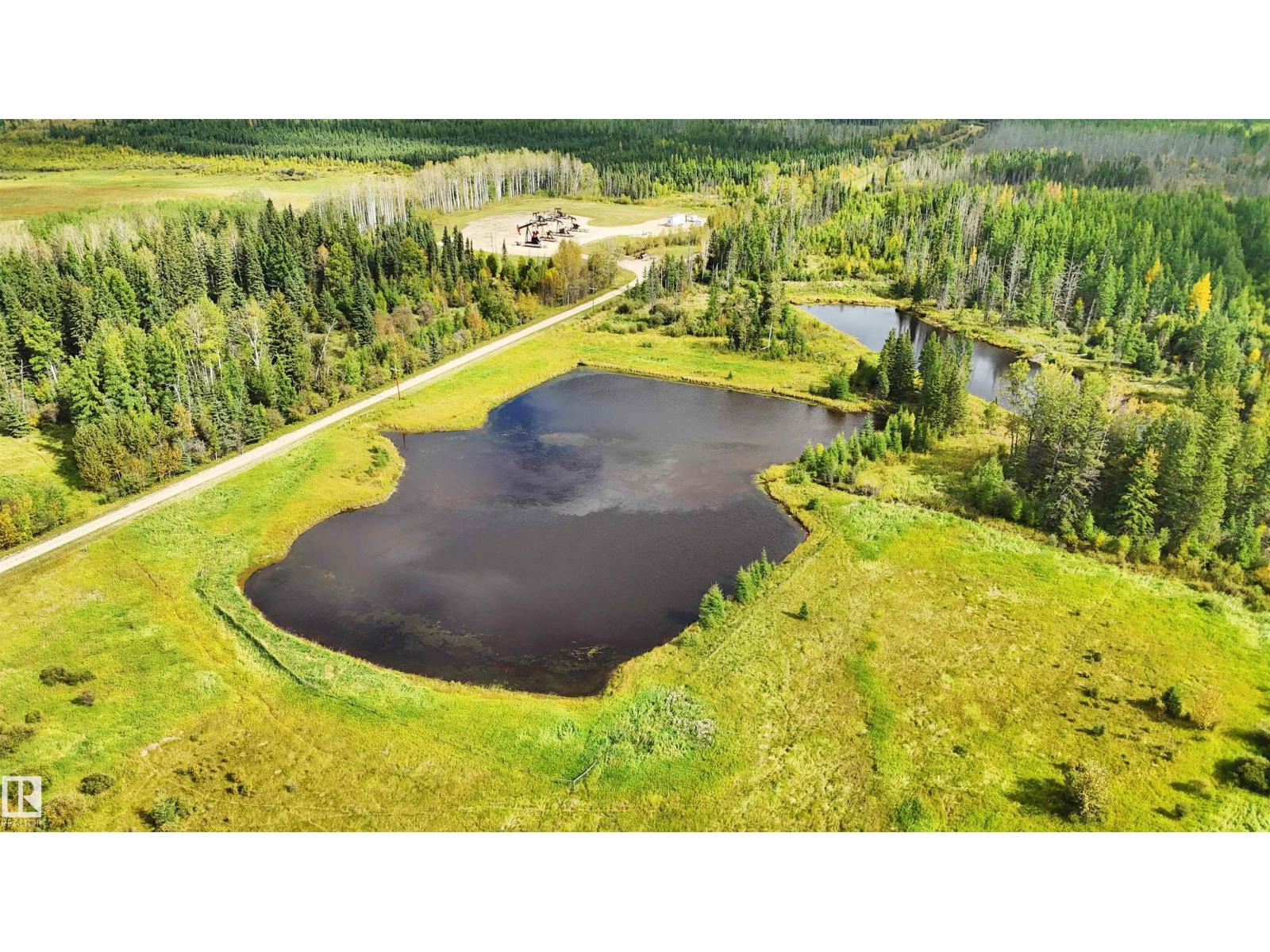 49419 - B Rge Road 85, Rural Brazeau County, Alberta  T7A 0C1 - Photo 3 - E4512171
