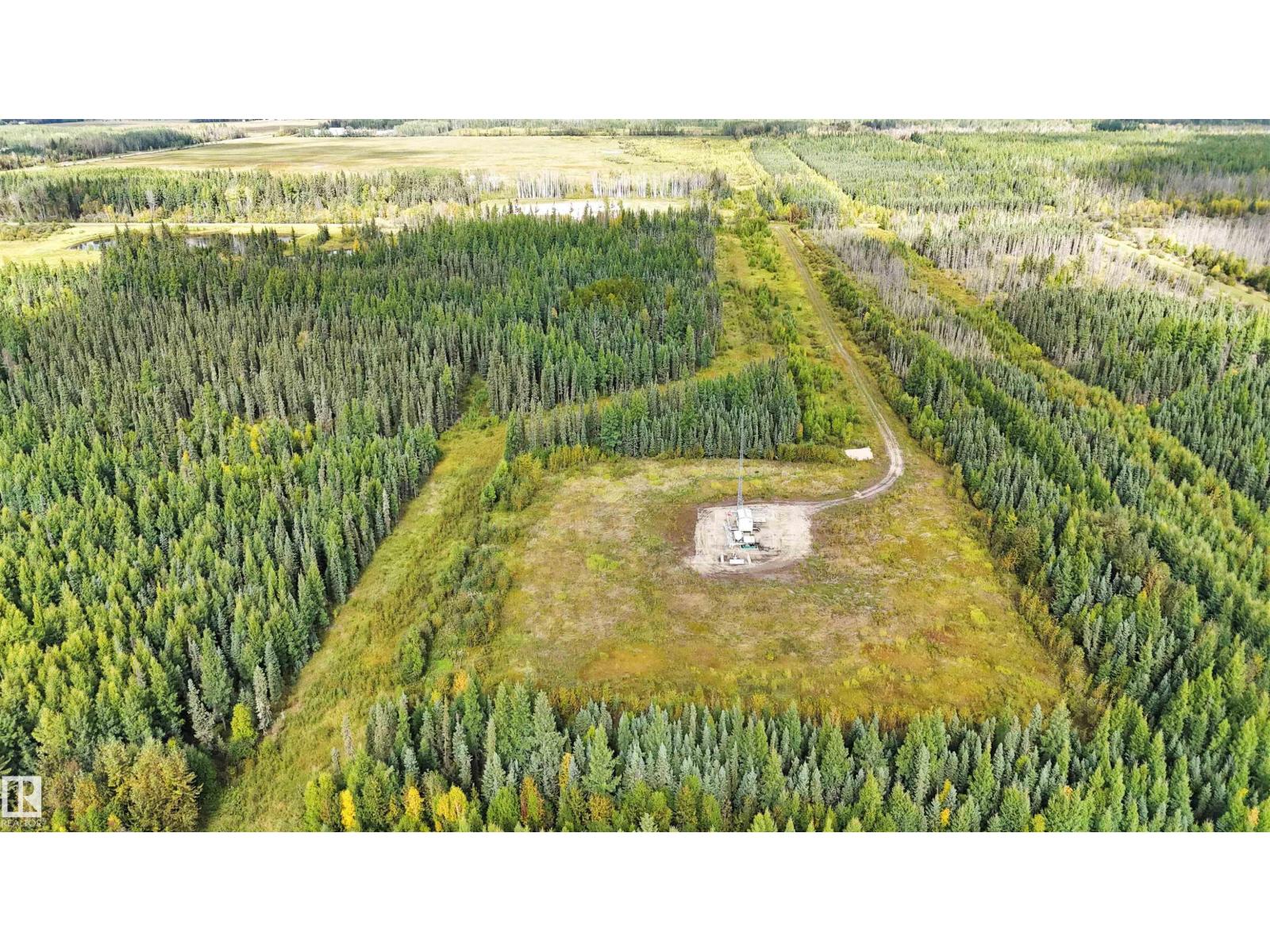 49419 - B Rge Road 85, Rural Brazeau County, Alberta  T7A 0C1 - Photo 36 - E4512171