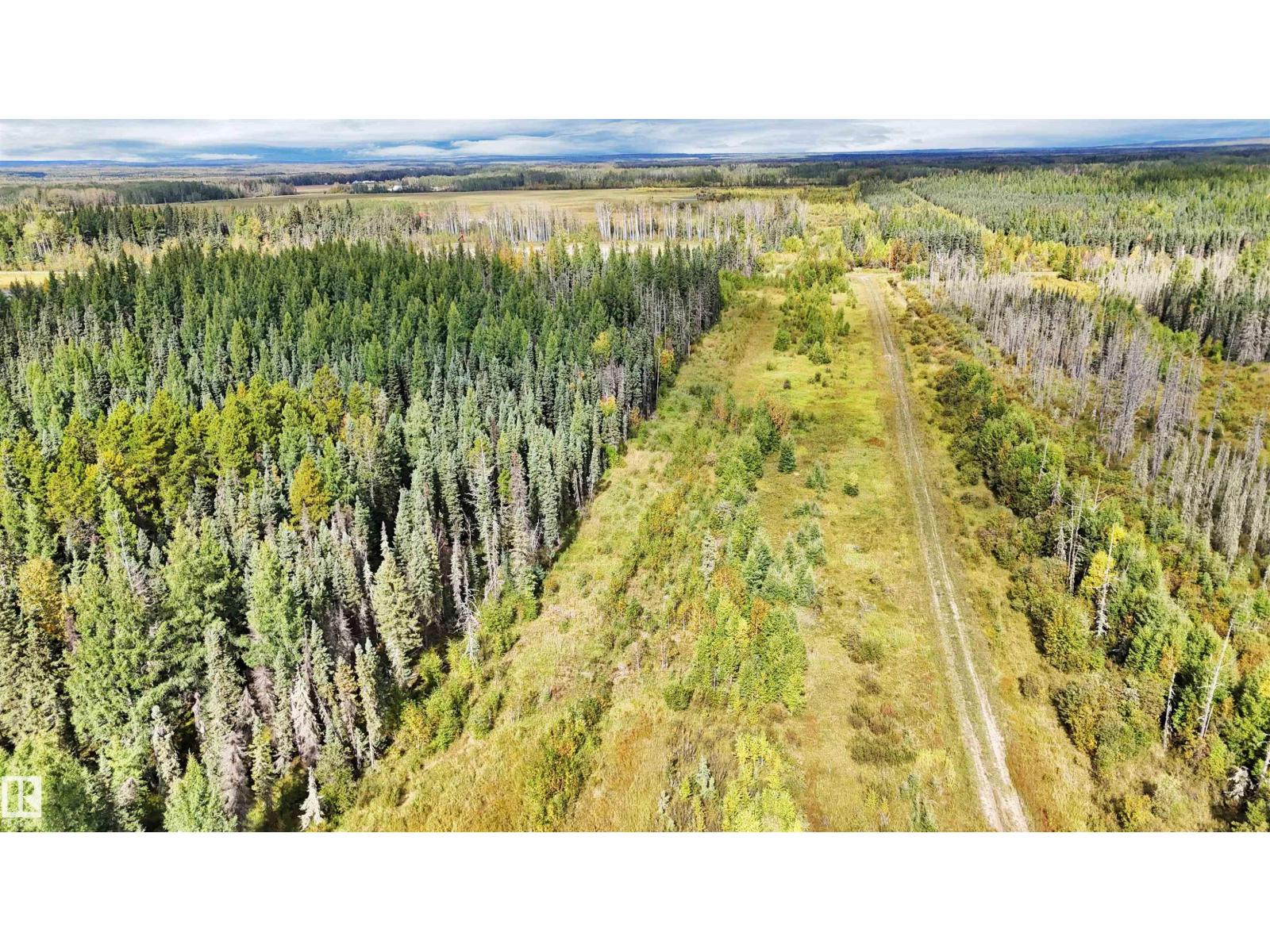 49419 - B Rge Road 85, Rural Brazeau County, Alberta  T7A 0C1 - Photo 40 - E4512171