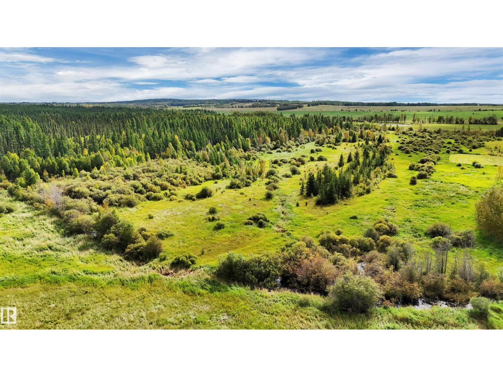 49419 - B Rge Road 85, Rural Brazeau County, Alberta  T7A 0C1 - Photo 7 - E4512171